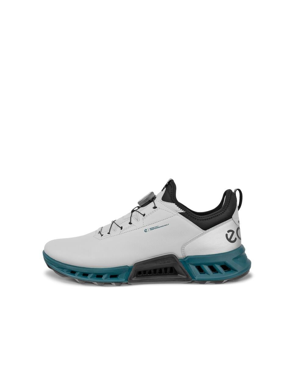 Teal?$default$